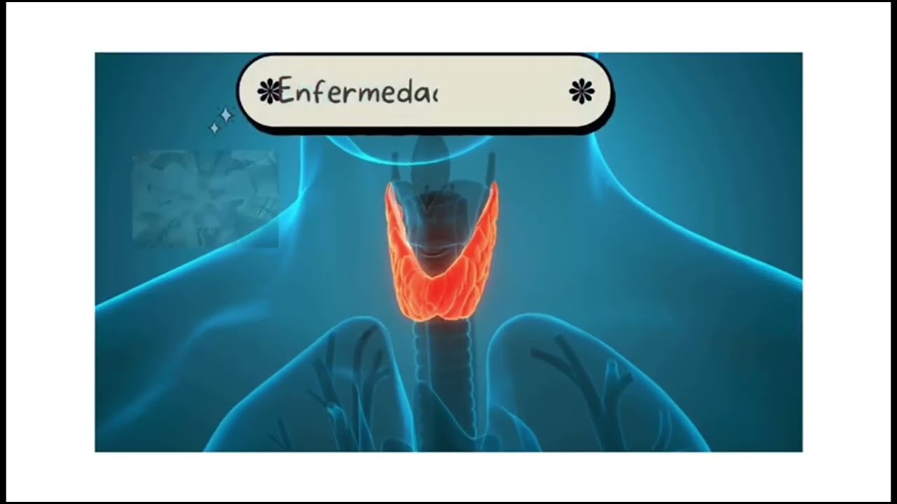 cambios biologicos en el adulto mayor