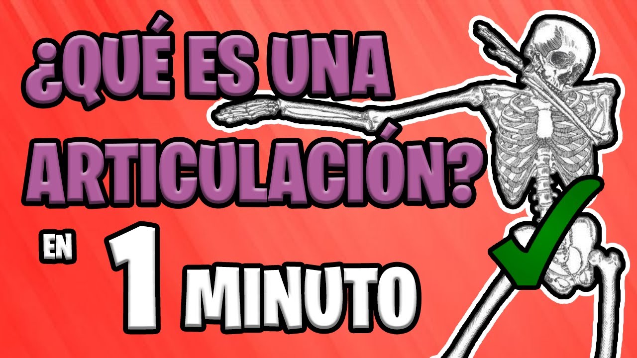 cual es la funcion de las articulaciones