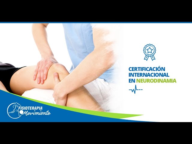 cual es la via del dolor