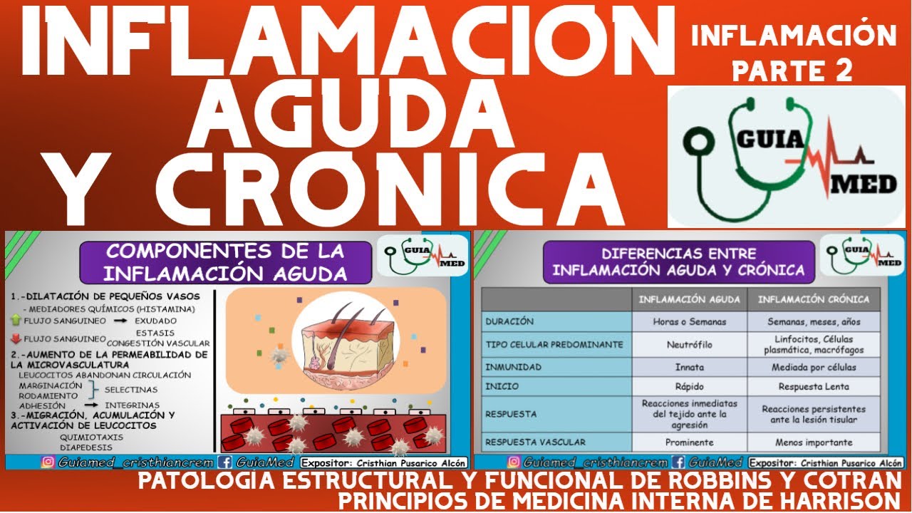 diferencia entre inflamacion cronica y aguda