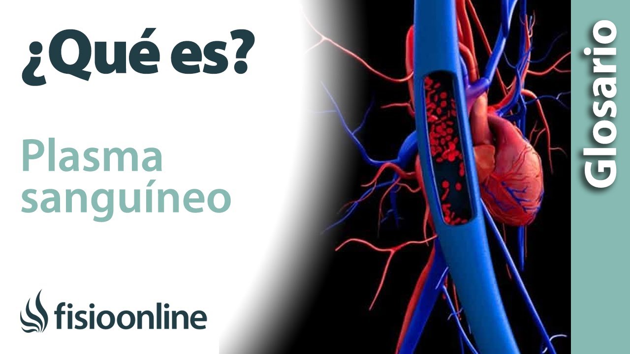 donde se encuentra el plasma sanguineo