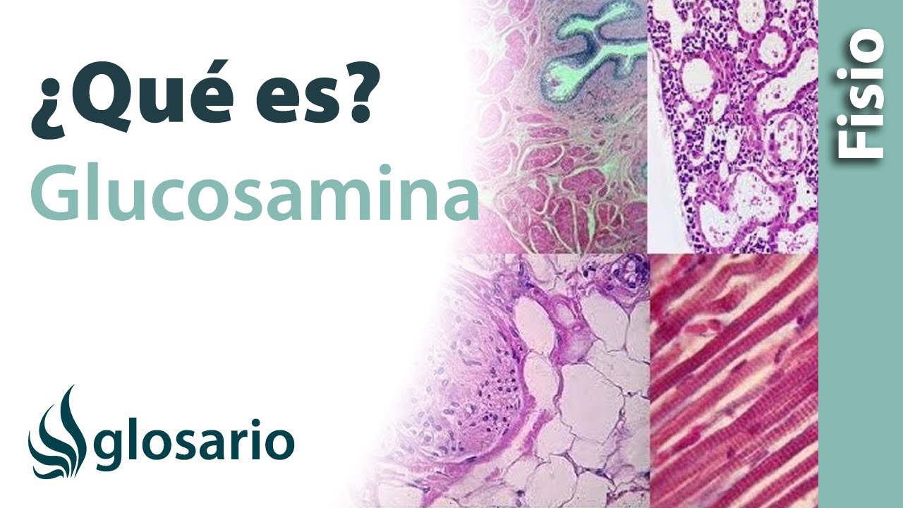 en que alimentos se encuentra la glucosamina