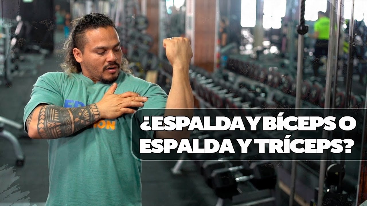 espalda y biceps o espalda y triceps