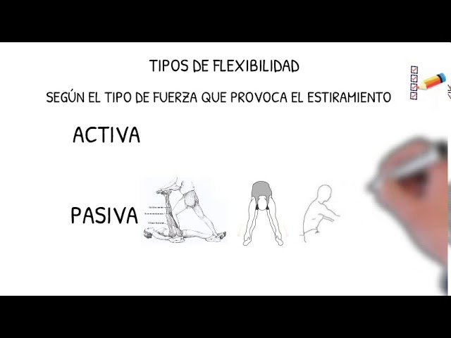 flexibilidad y elasticidad en educacion fisica
