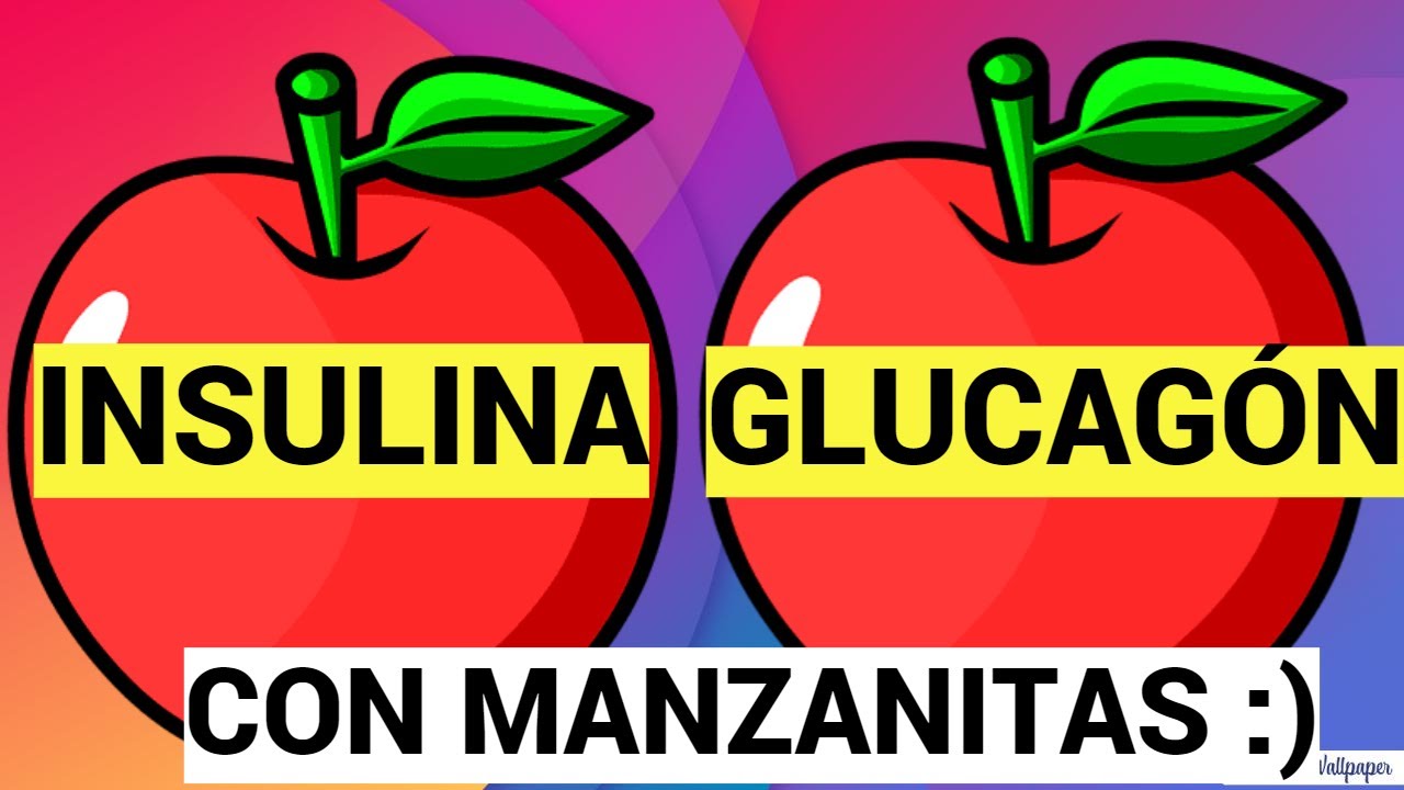 funcion de la insulina y el glucagon