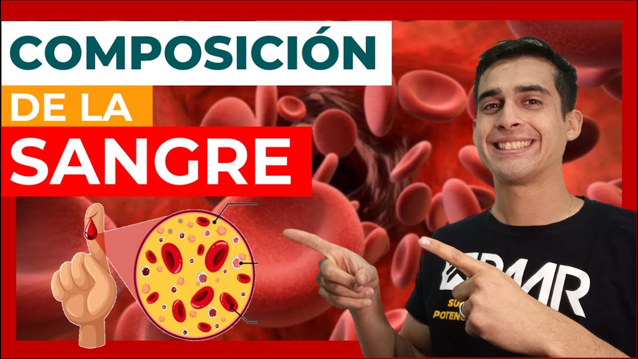 funciones de los componentes de la sangre