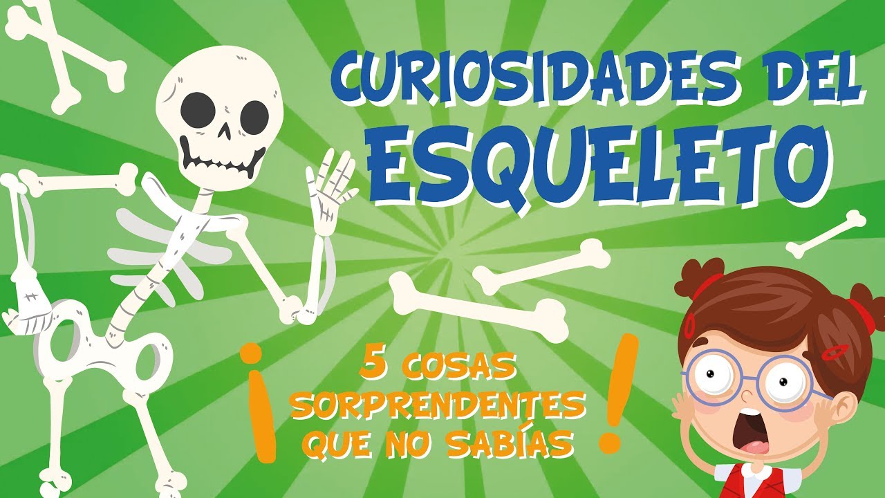 hueso mas fuerte del cuerpo humano