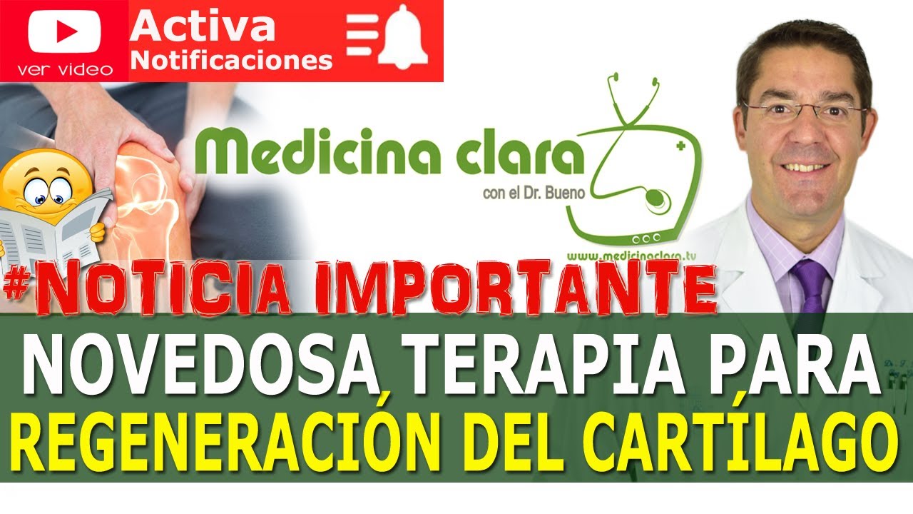 los cartilagos de las rodillas se regeneran