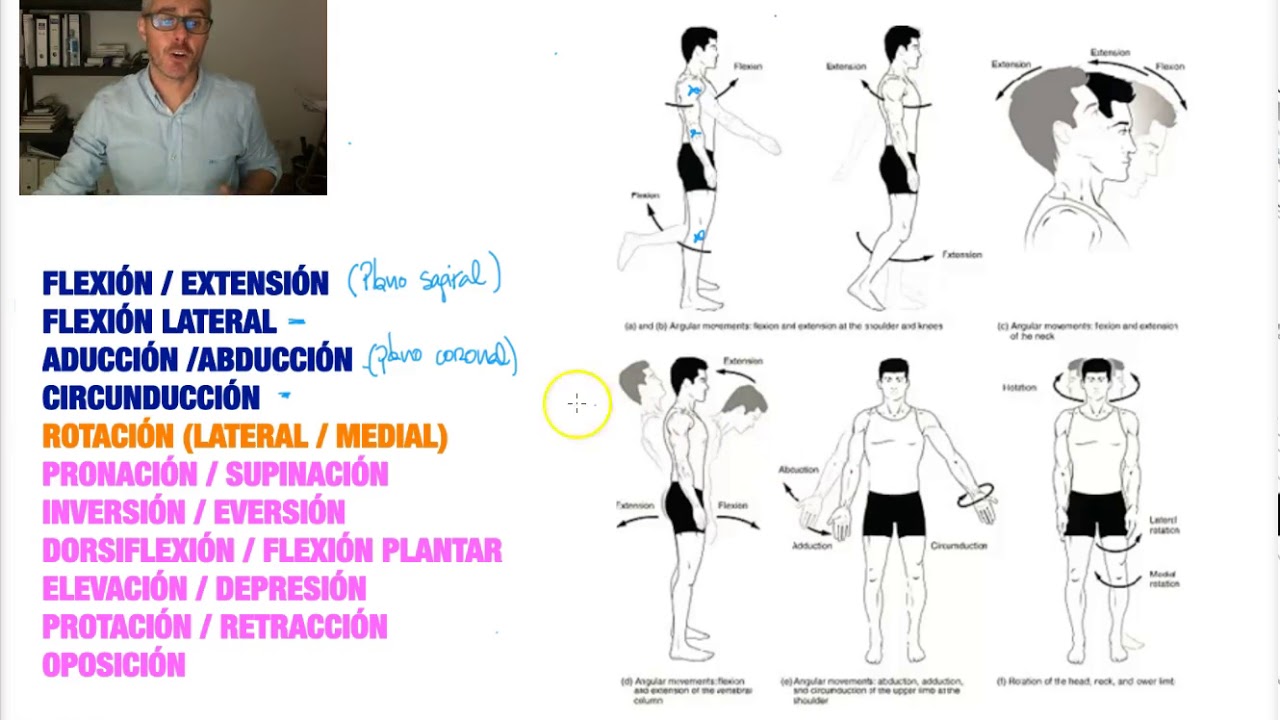 los tipos de arcos de movimiento de una articulación son