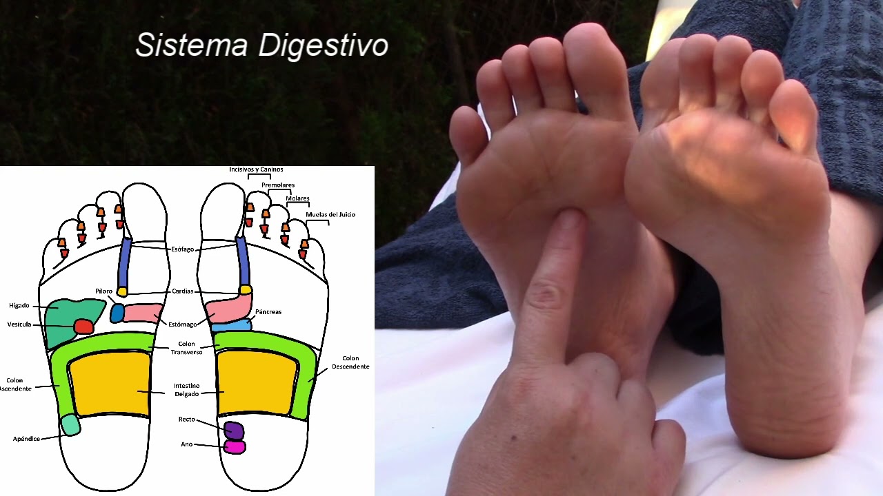 partes del cuerpo planta del pie