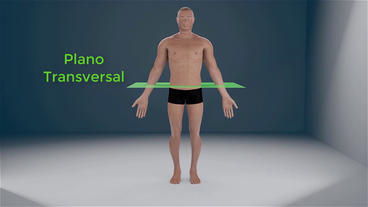 posicion y planos anatomicos del cuerpo humano