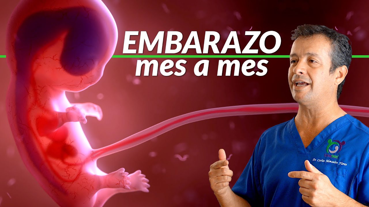 posiciones del feto en el vientre materno