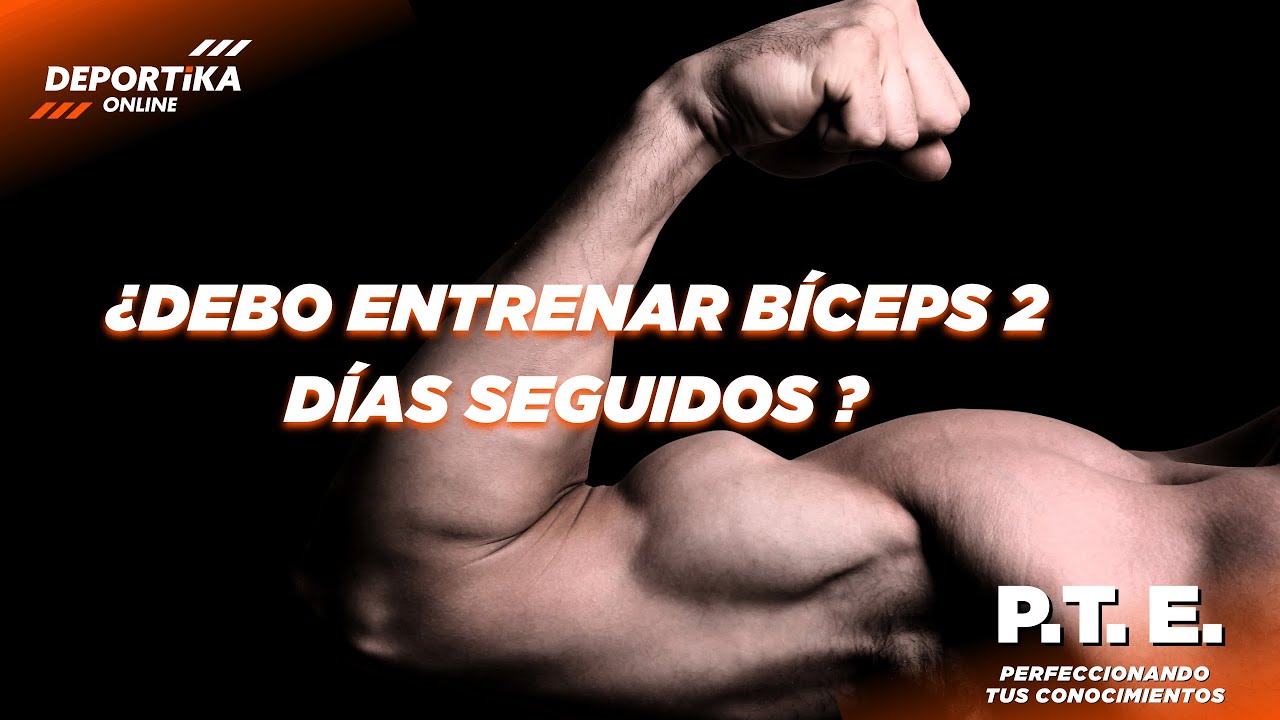 se puede entrenar brazos todos los dias