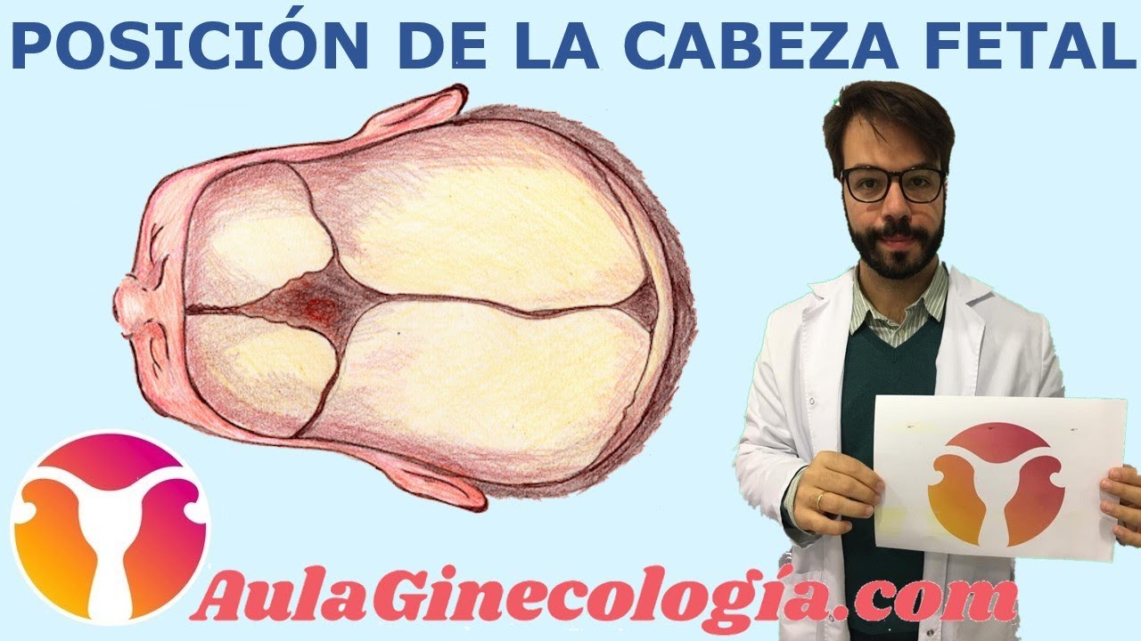 suturas y fontanelas de la cabeza fetal