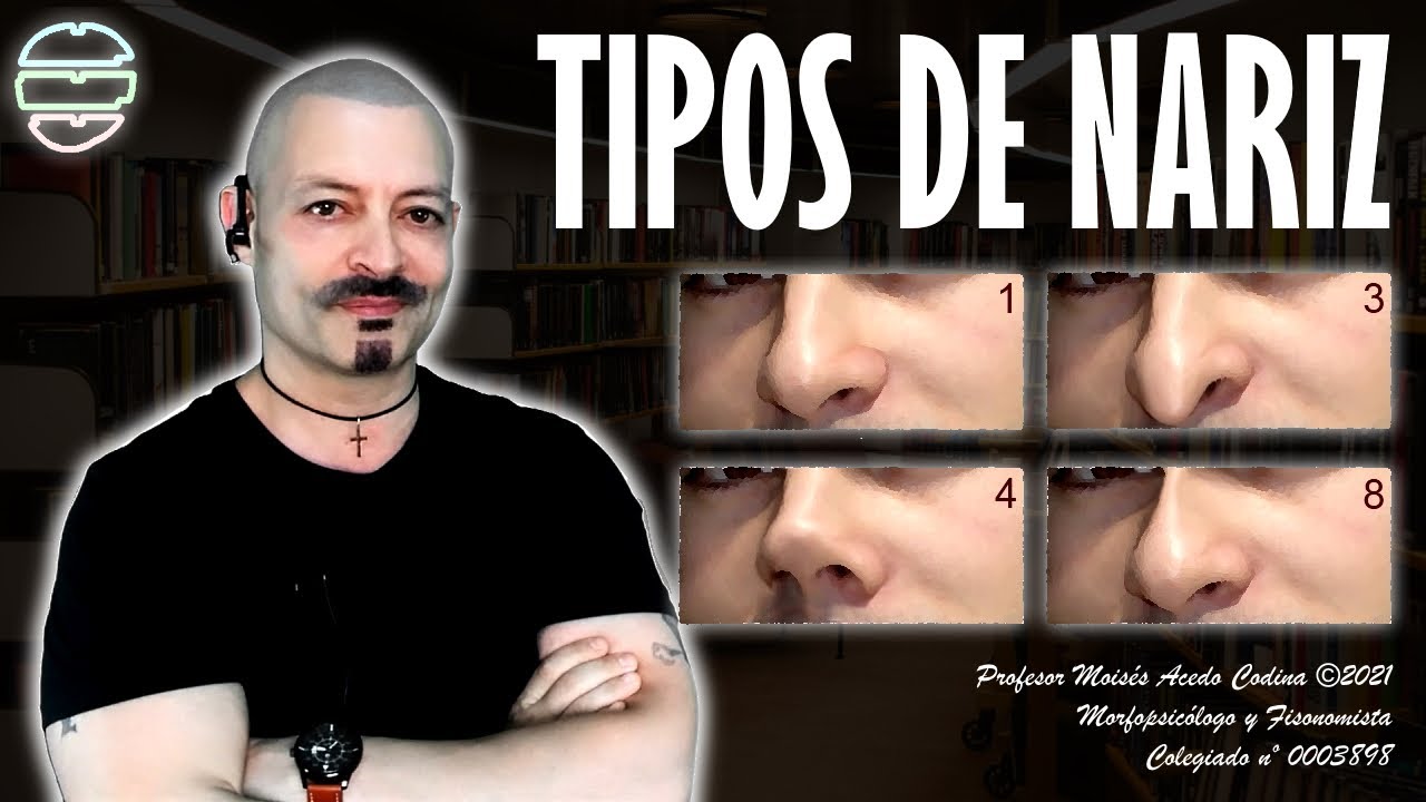 tipos de narices y su significado