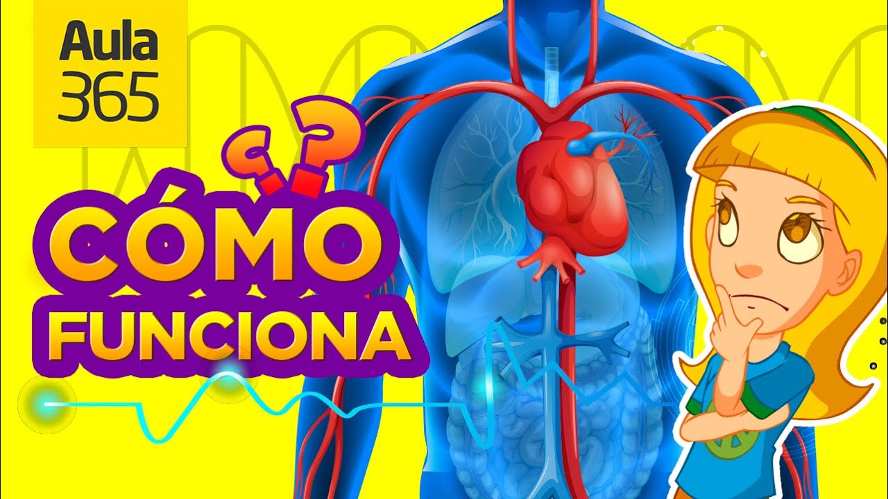 acciones que realiza el cuerpo humano
