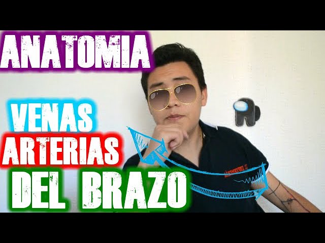 arteria que pasa por el brazo