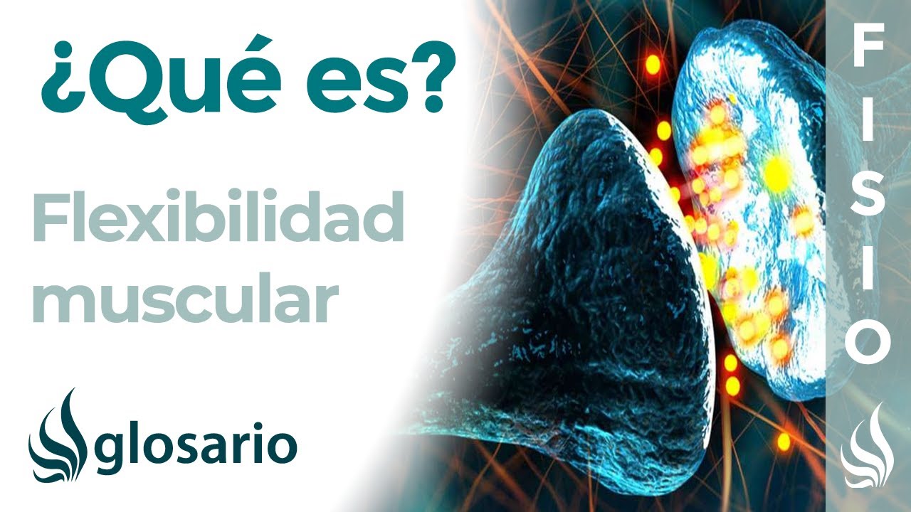 beneficios del desarrollo de la flexibilidad
