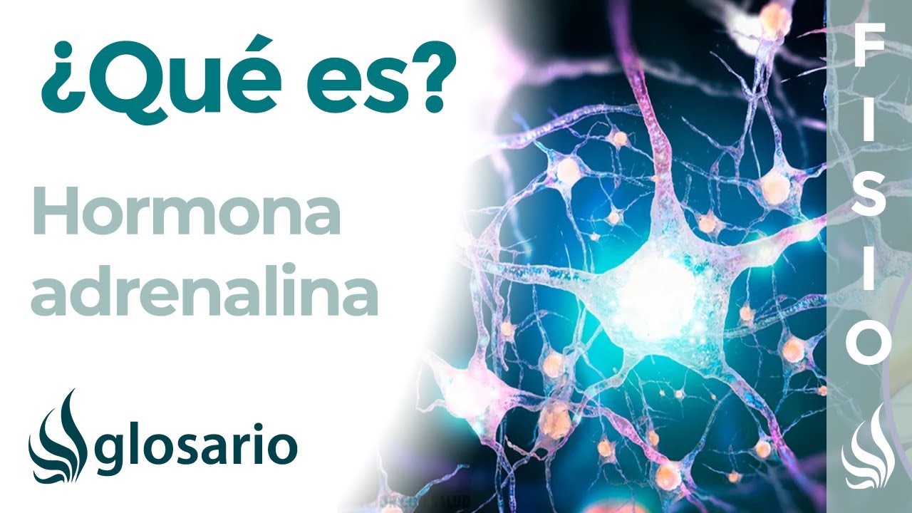 efecto de la adrenalina en el cuerpo