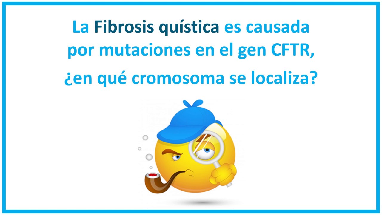en que cromosoma se encuentra la fibrosis quistica