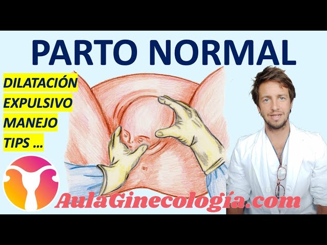 fase de expulsion en el parto