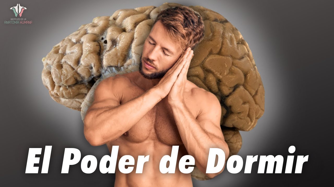 hormona del crecimiento y el sueño
