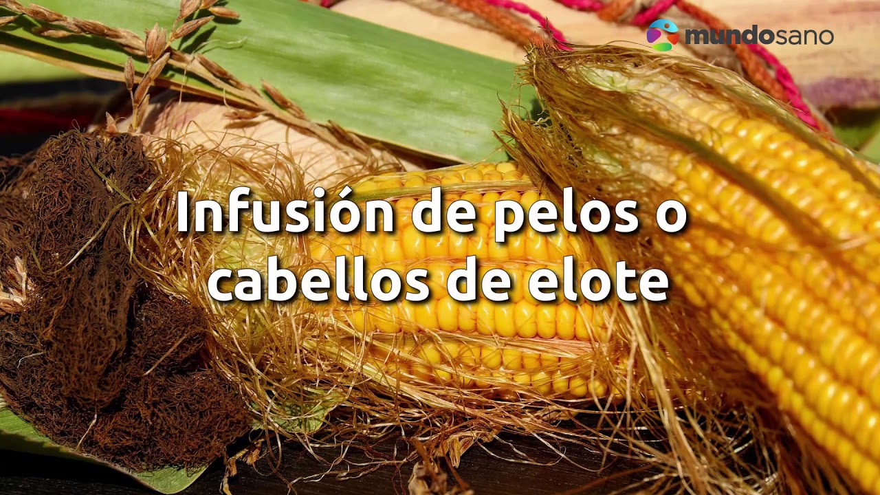 infusiones para la infección de orina