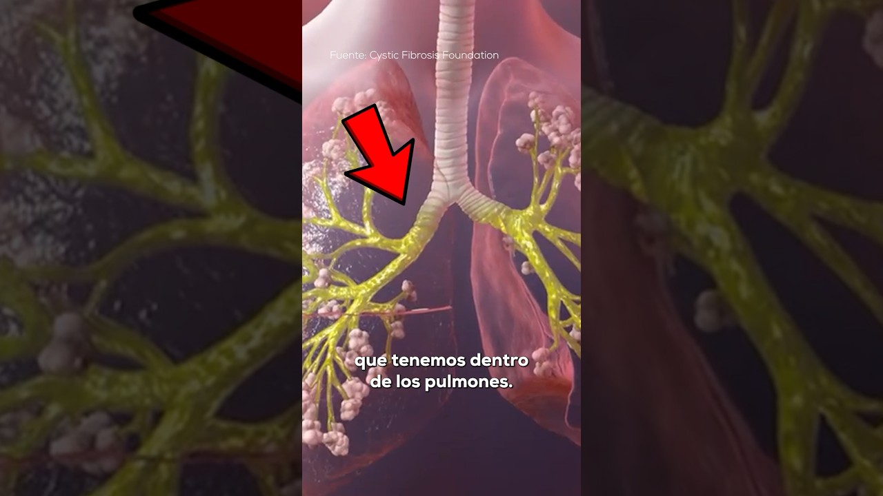 los mocos vienen de los pulmones