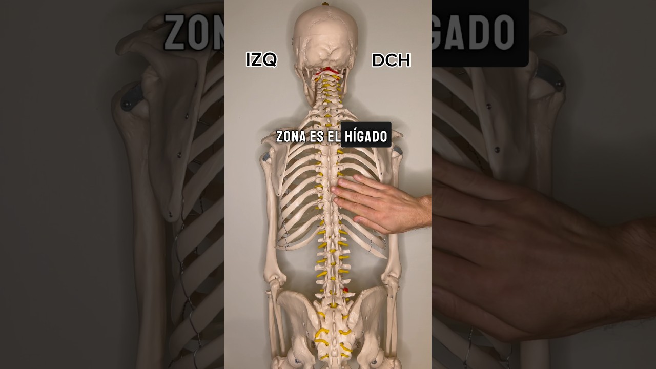 me duele la mitad de la espalda