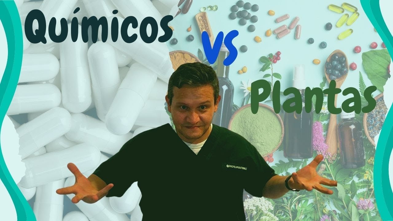 medicamentos a base de plantas medicinales