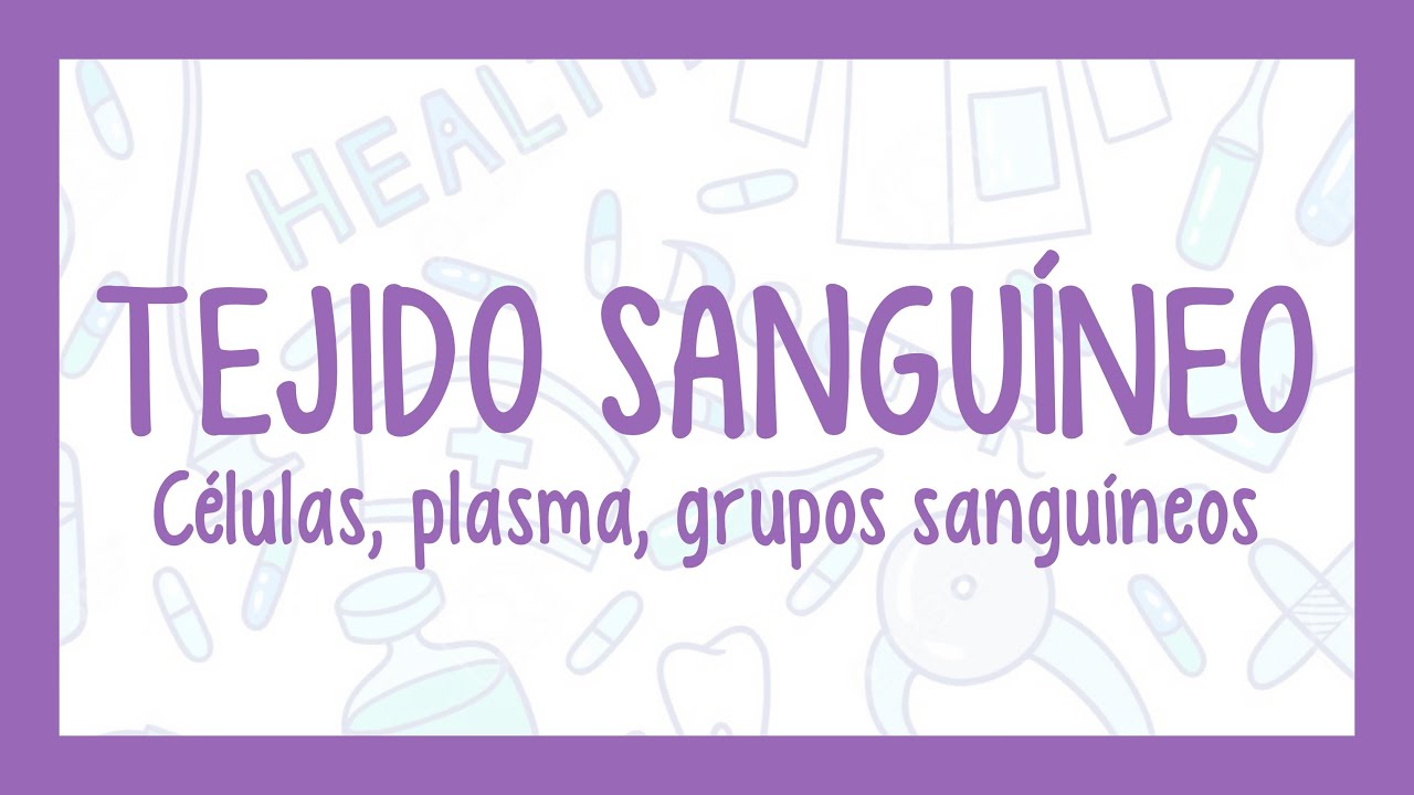 porque esta formado el tejido sanguineo