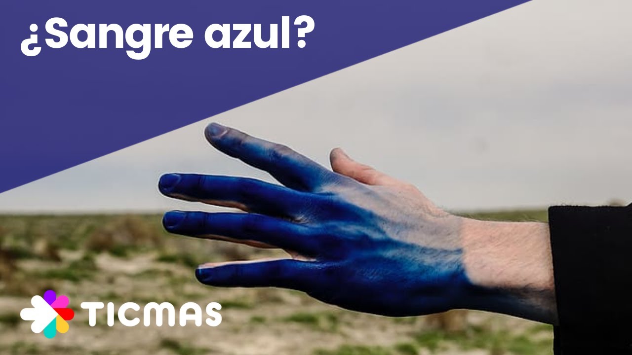 porque las venas son azules y las arterias rojas