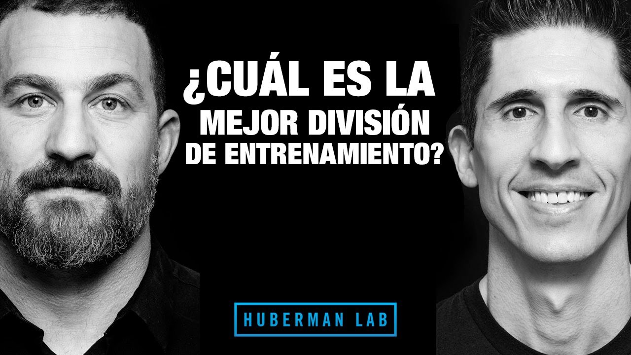 que parte del cuerpo entrenar cada dia