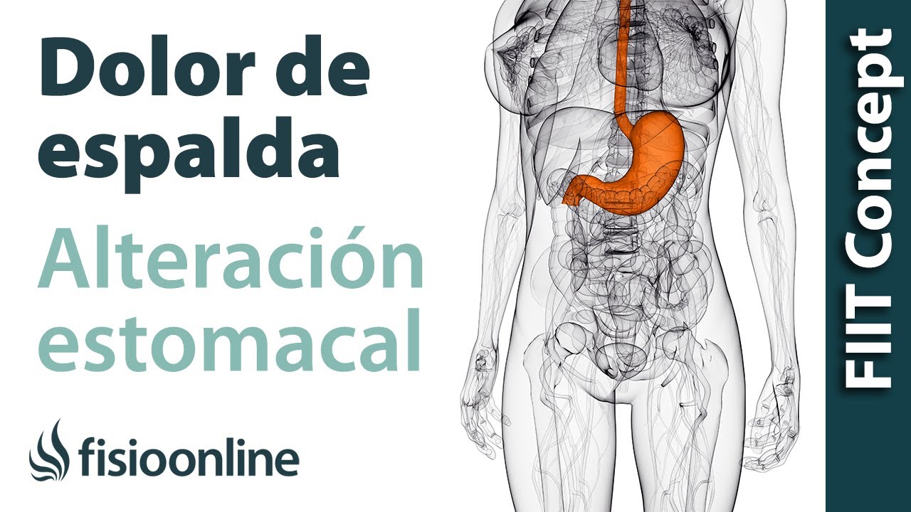 ansiedad dolor de estómago y espalda