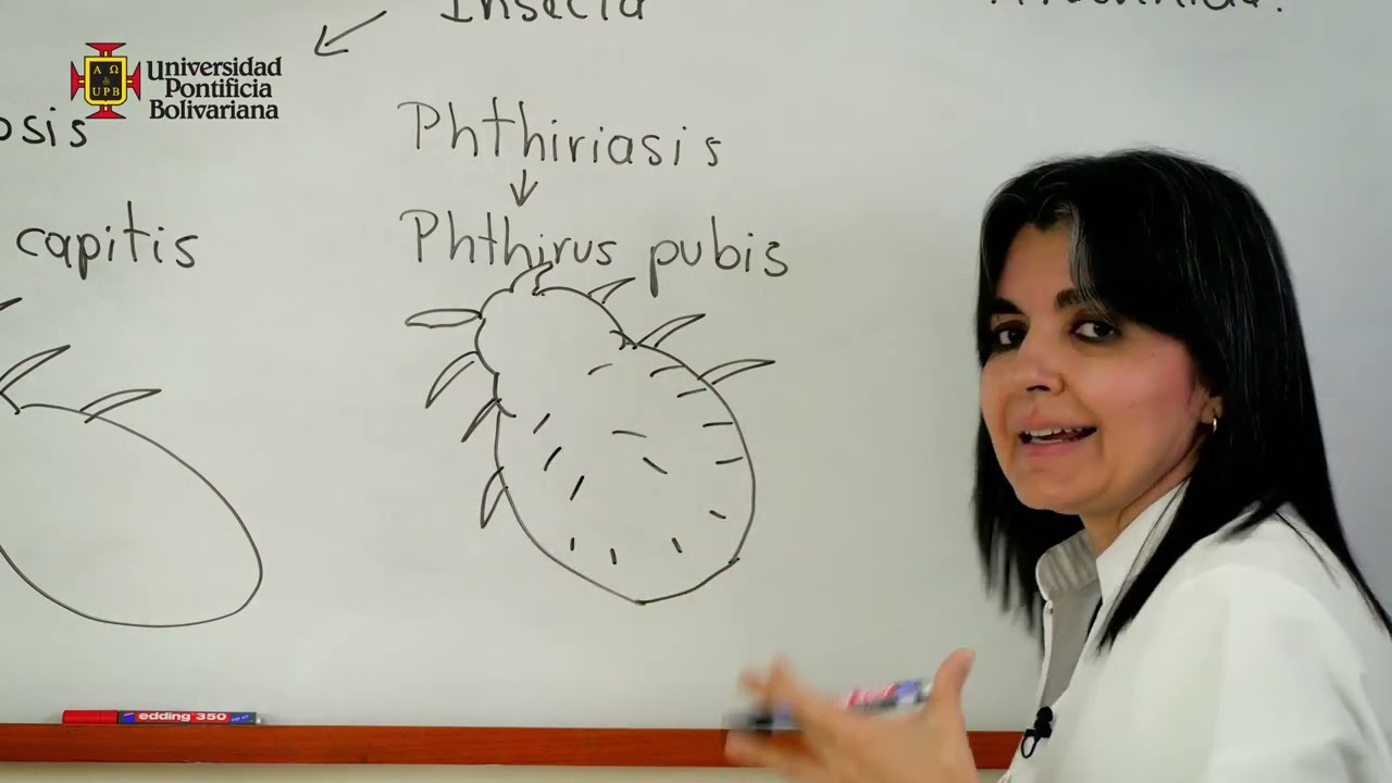 infecciones dela piel causadas por bacterias hongos o virus