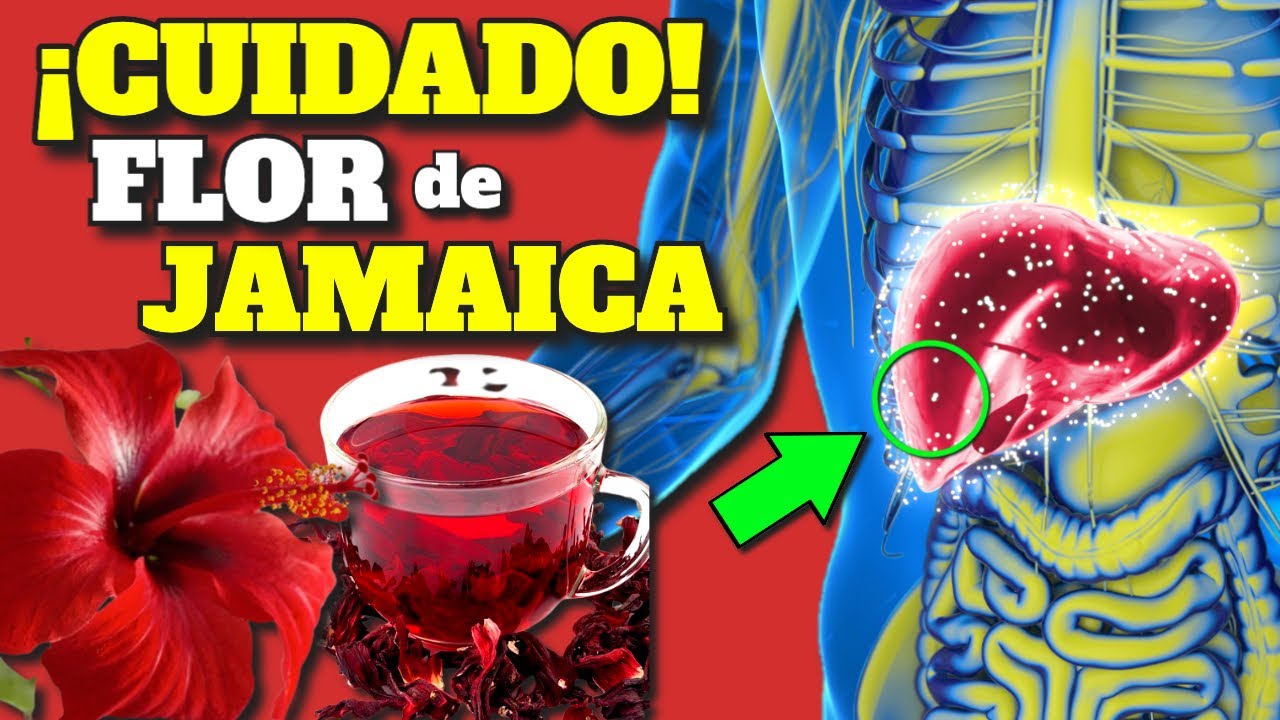 infusion de hibisco para que sirve