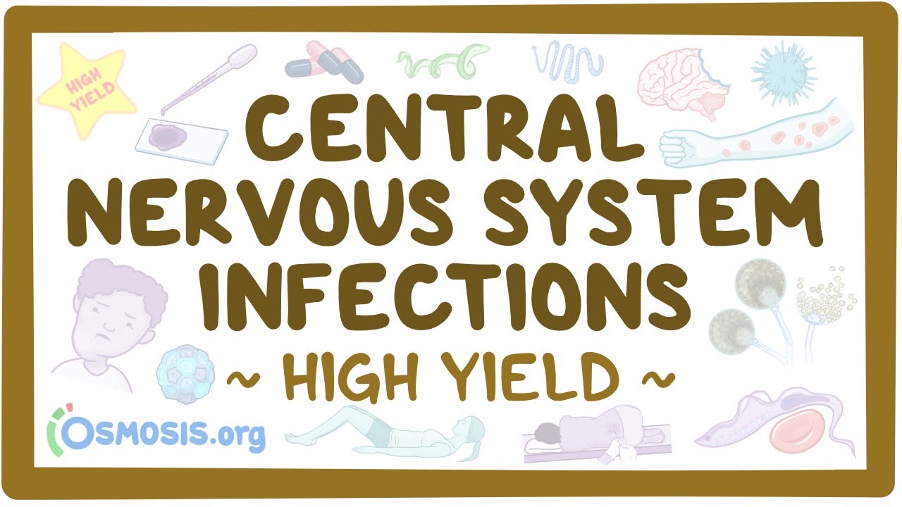 journal of central nervous system disease impact factor
