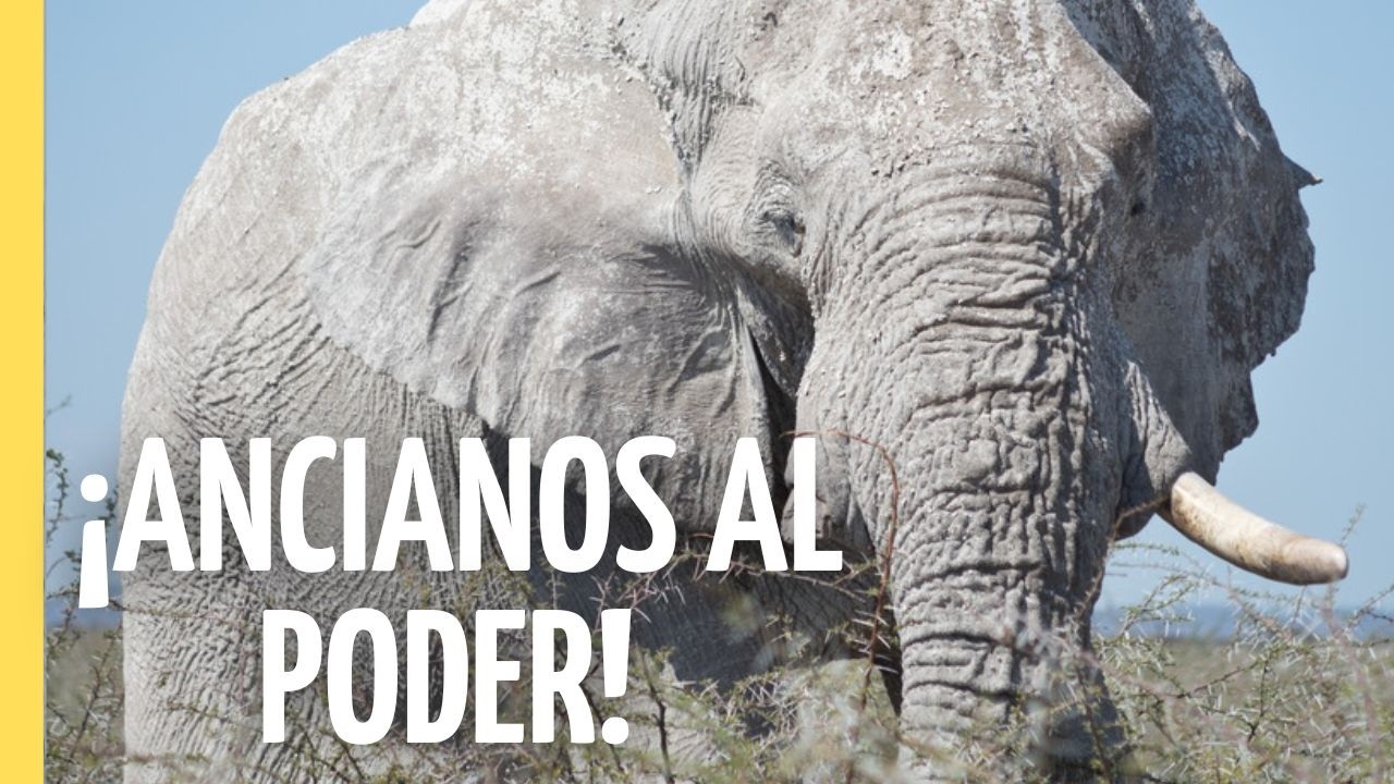 no es la edad es el poder