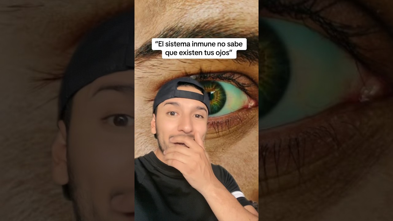 que pasa si el sistema inmune detecta los ojos