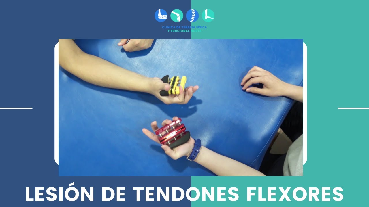 rotura tendón dedo mano tiempo recuperación