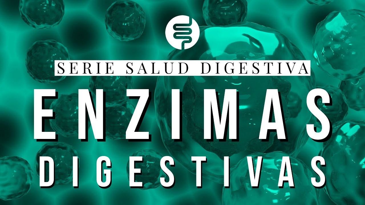 se puede tomar enzimas digestivas y probióticos juntos