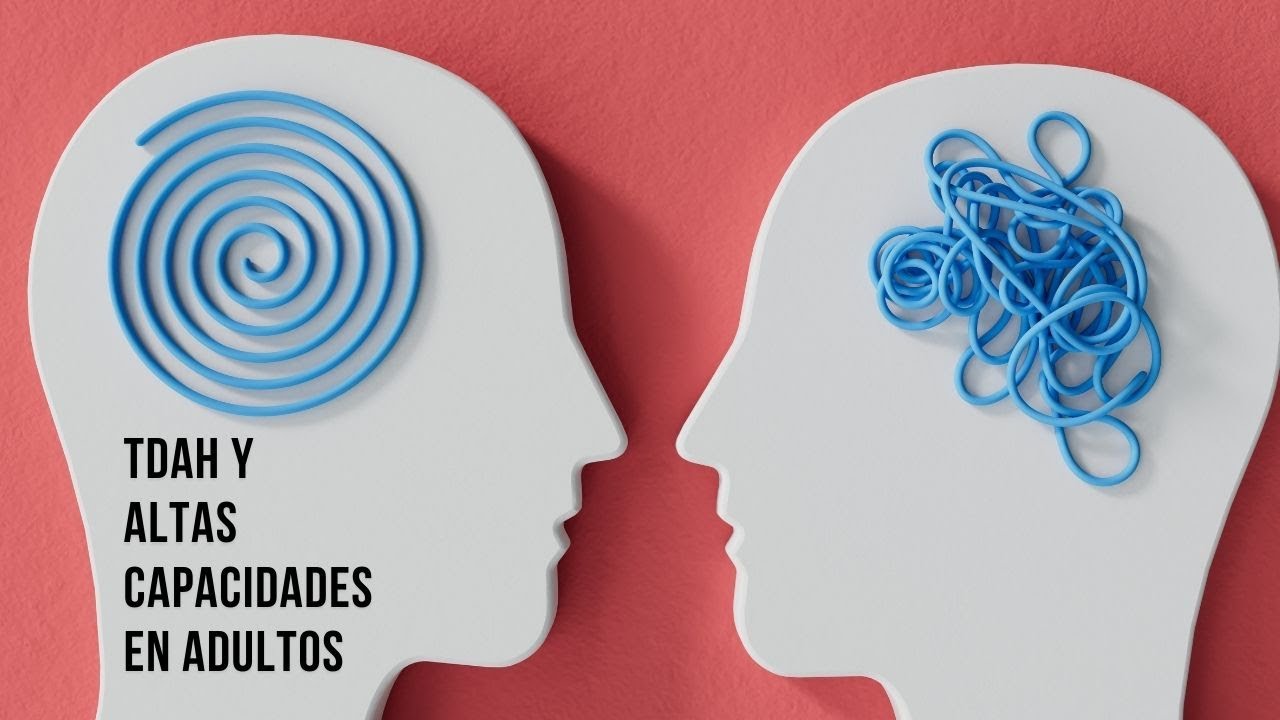 tdah y altas capacidades en adultos