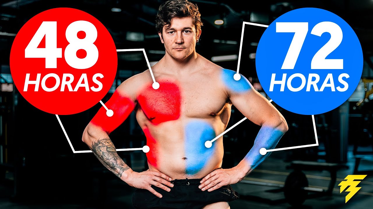 tiempo de recuperacion de los musculos