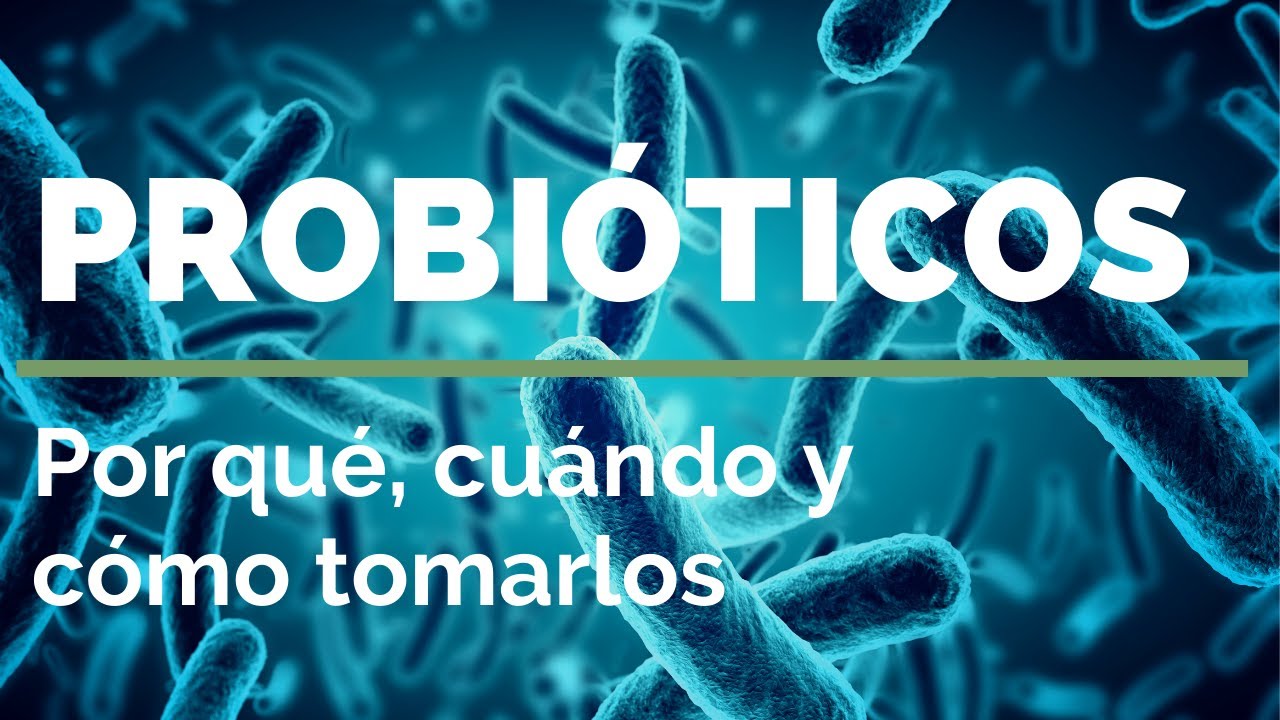 cada cuanto tiempo se pueden tomar probioticos