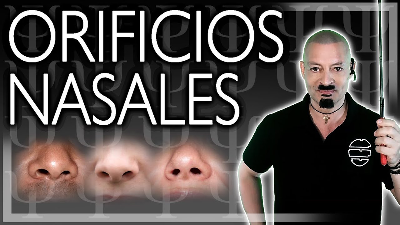 cada uno de los orificios nasales externos