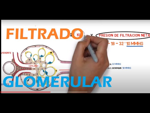 como se calcula el filtrado glomerular
