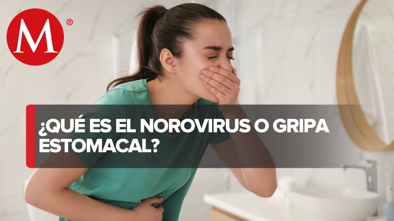 como se pueden inactivar los norovirus
