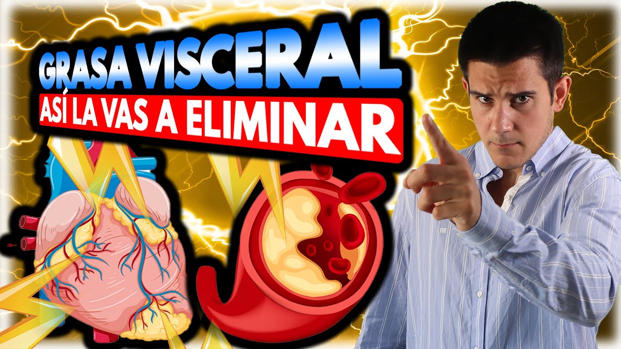 como se si tengo grasa visceral