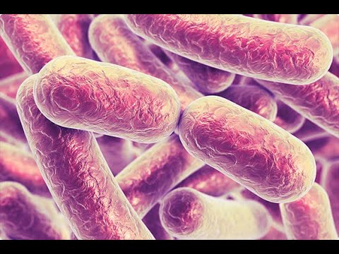 cuanto dura la diarrea por antibioticos
