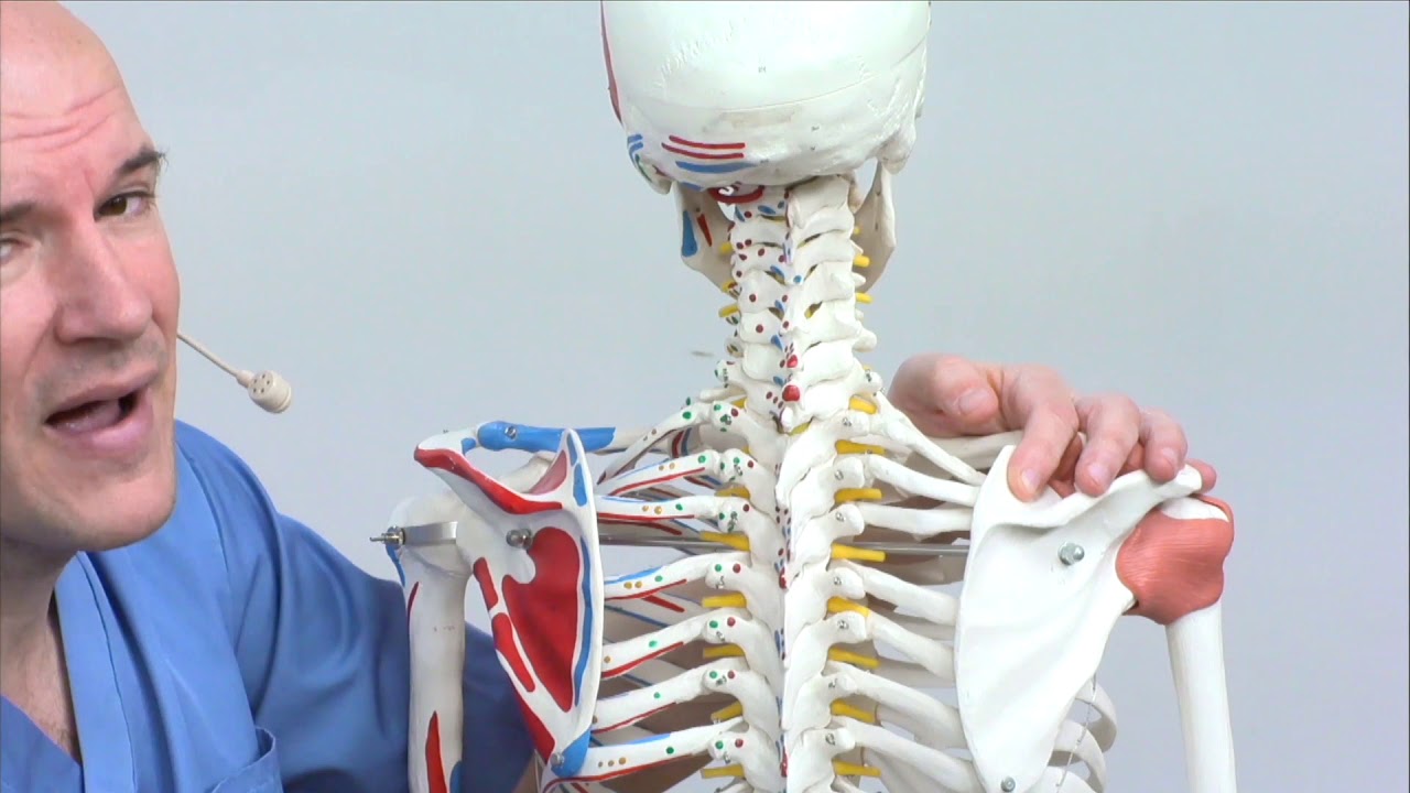 dolor de cabeza por contractura cervical